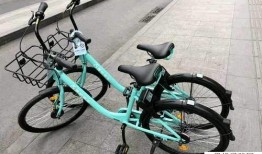 青桔单车最新爆料,揭秘行业变革背后的秘密与未来趋势”