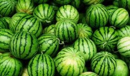 宿迁网红吃瓜事件真相,真相背后的网络狂欢与反思